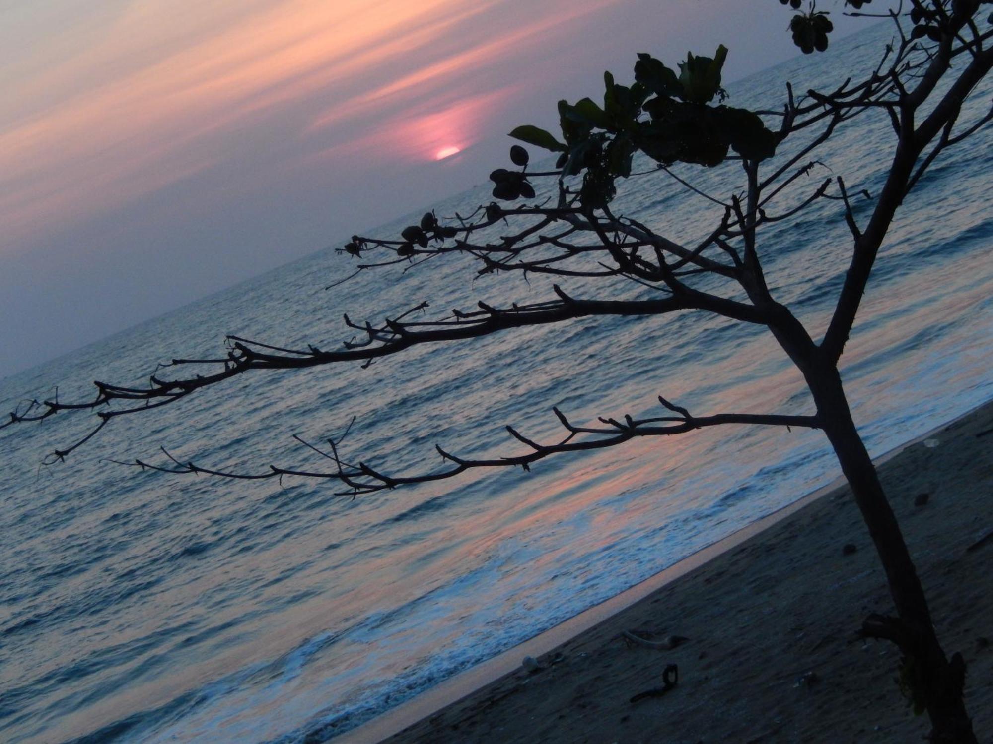 Sealine Beach Resorts Cherai Beach Exterior foto